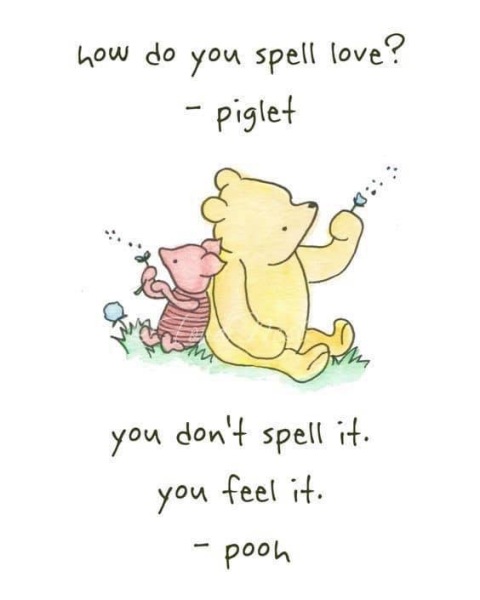 piglet love