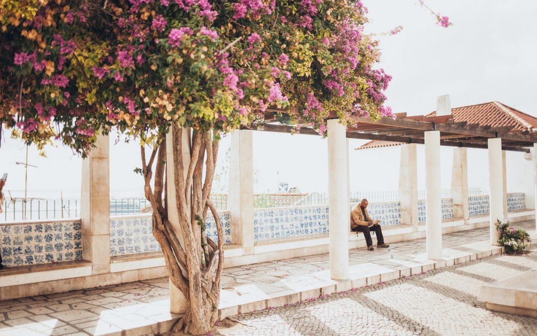 pink tree - Photo by Elina Sazonova from Pexels