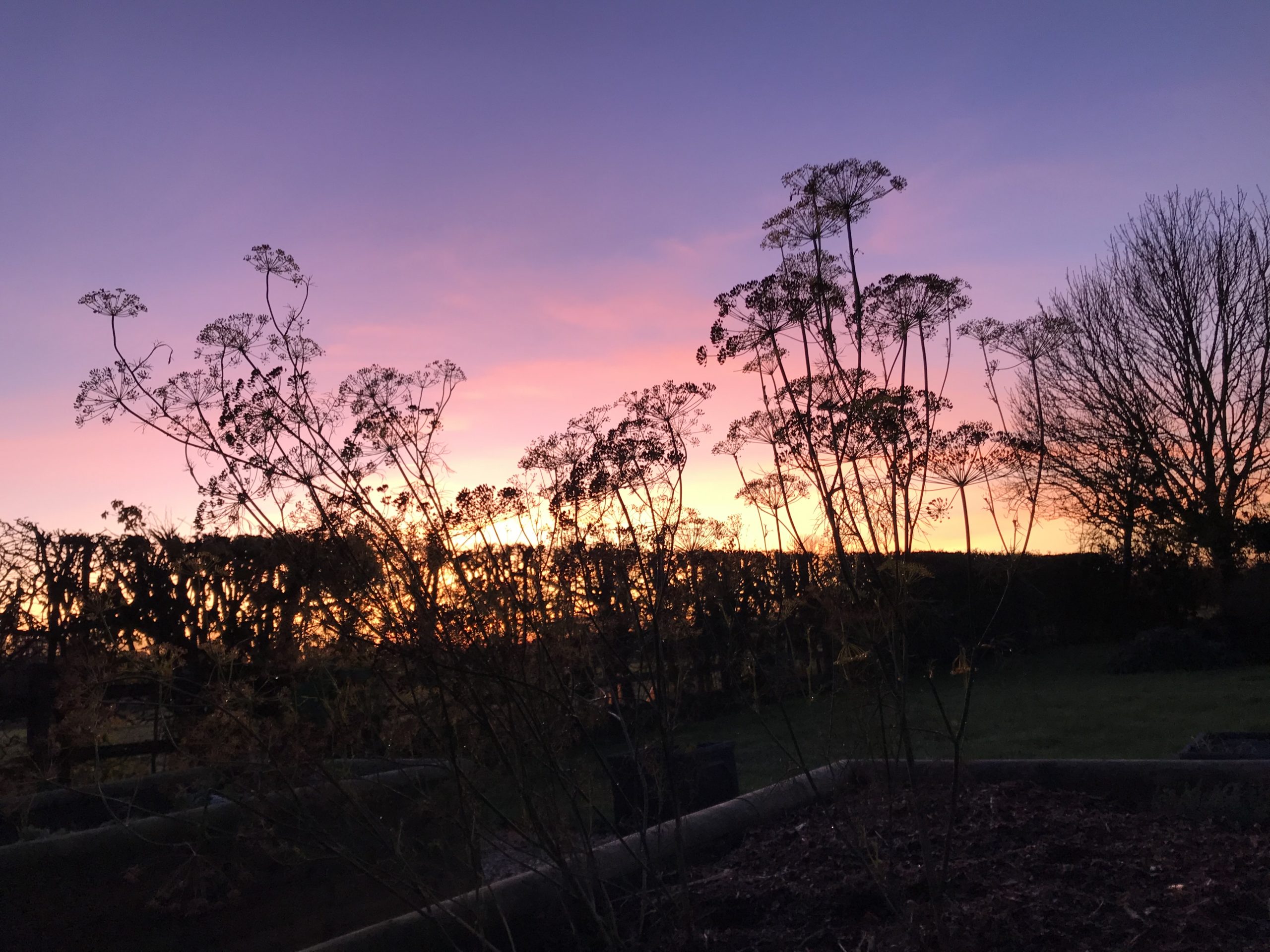 Bracing ourselves Balance by Pilates by Philippa